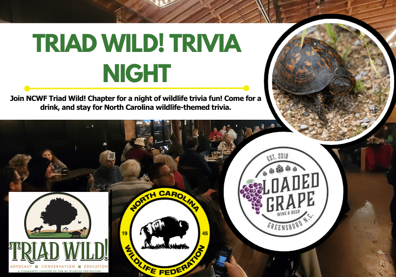 TWtrivia