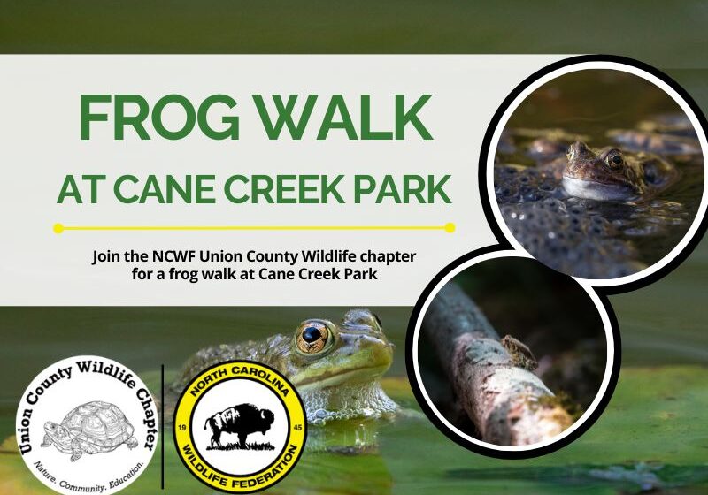 UCWCcanecreekfrog