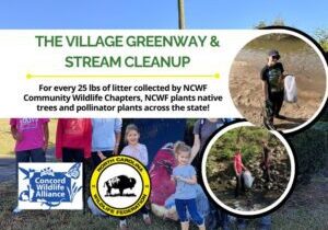 VillageGreenwayStreamFinal