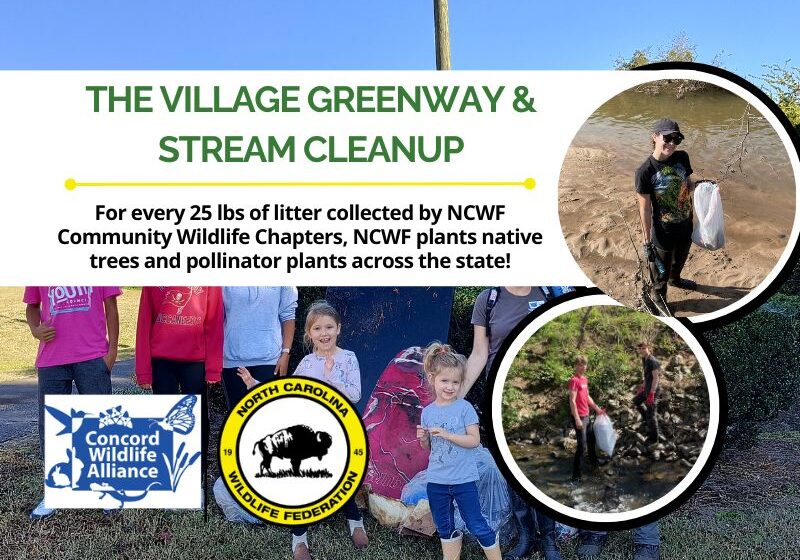 VillageGreenwayStreamFinal