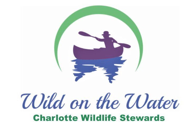 WOW-CWS_2022_logo