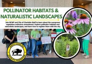 WebinarPollinatorWeek