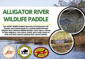 alligatorriverpaddle