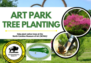 art-park-tree-planting