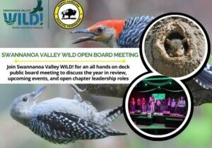 boardmeeting