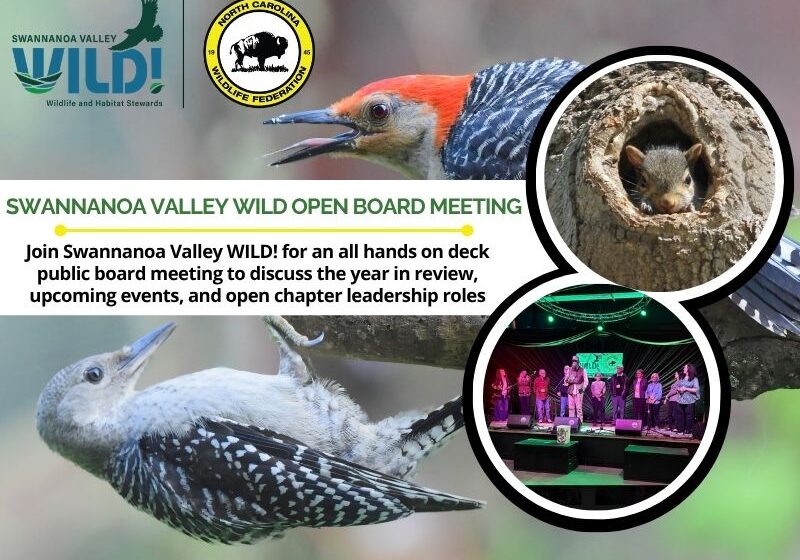 boardmeeting