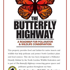 Order Your Butterfly Highway Sign