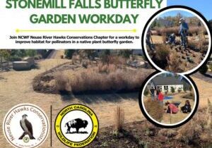 butterflygarden butterflygarden