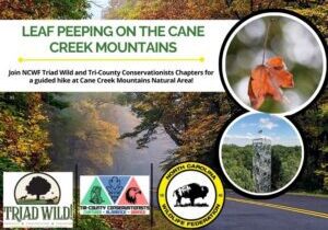 canecreek