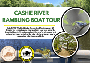 cashieboattour