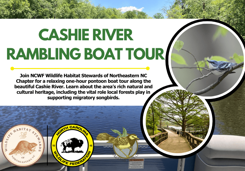 cashieboattour