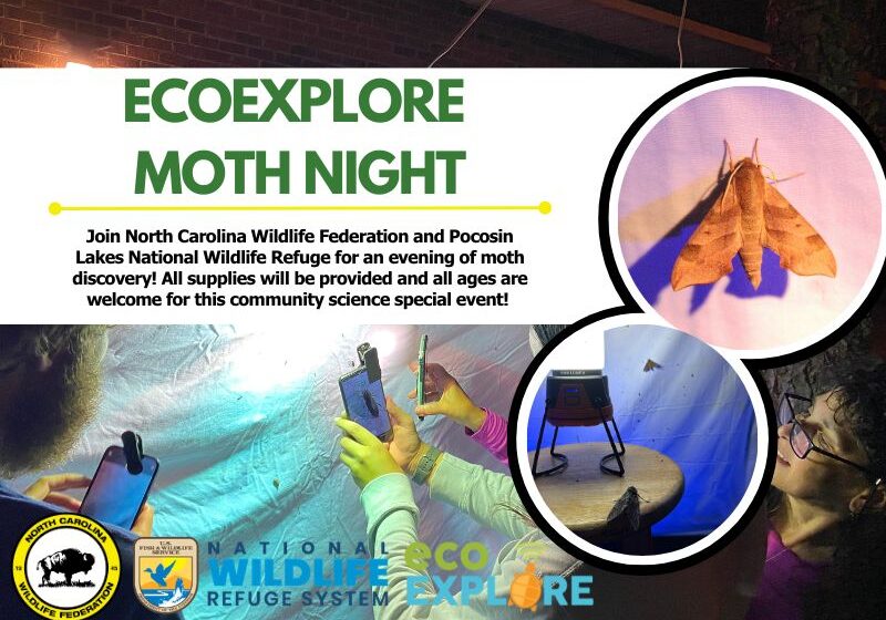 ecoexploremothnight