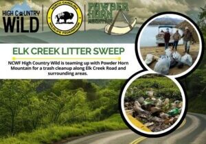 Program Banners - 84