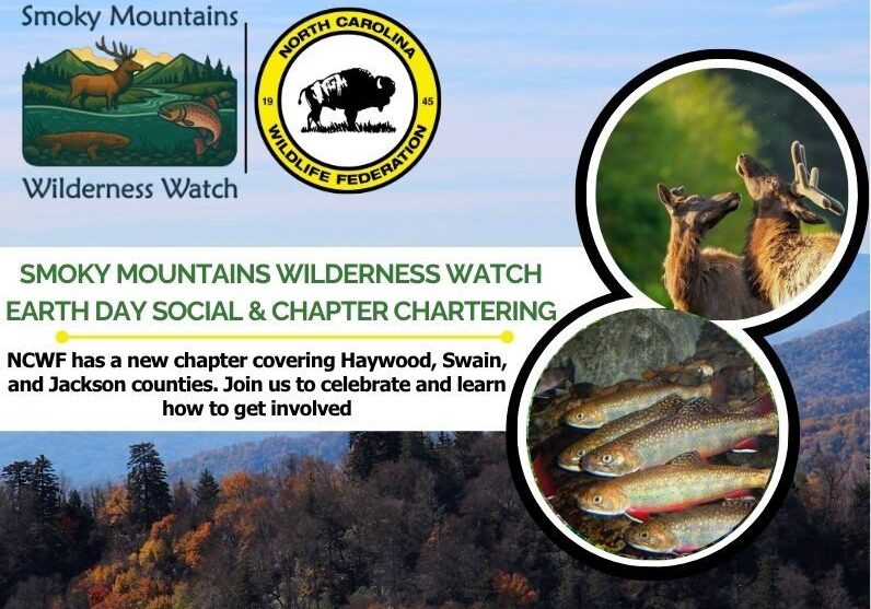 Program Banners - 71