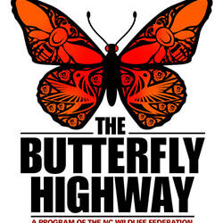 The Butterfly Highway