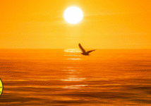 A Landmark Victory for North Carolina’s Fisheries
