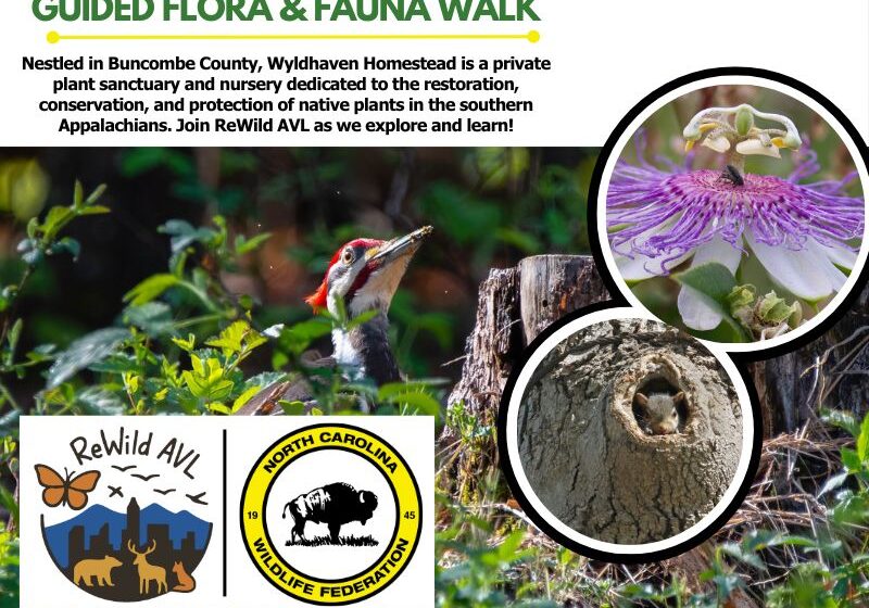florafaunaheader