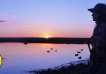 Photo: Chuck Traxler, USFWS