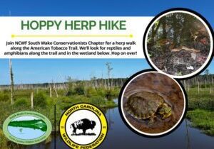 herphike