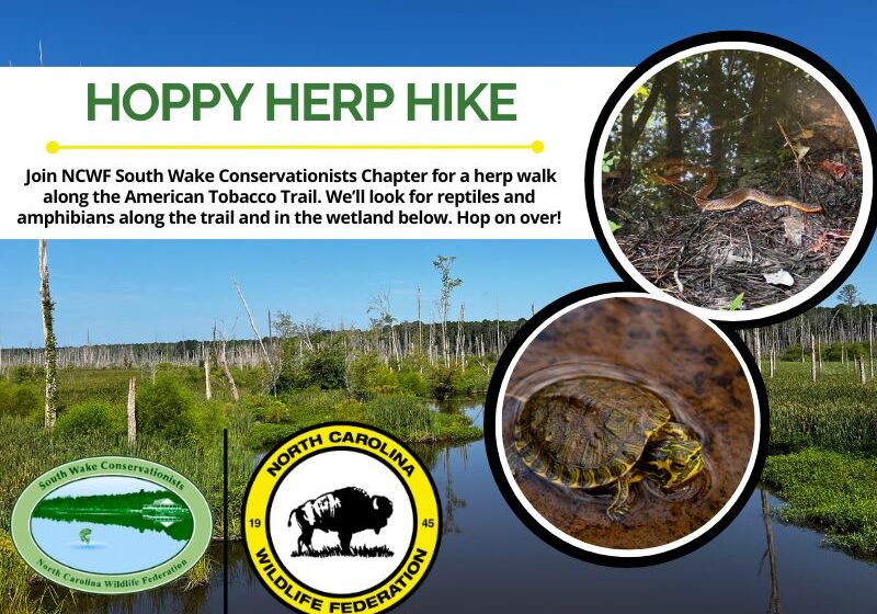herphike
