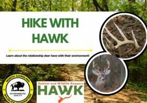 hikewithhawk