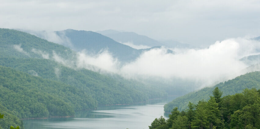 iStock.13738232.smokeys in fog