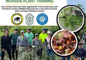 invasivetraining
