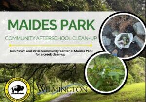 maidescleanup