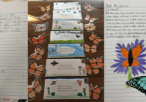 Wake County is now one of the most monarch-friendly counties in the country, thanks to South Wake Conservationists and a letter-writing campaign by pioneering third-graders from Pine Springs Preparatory Academy.