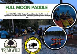 moonpaddle
