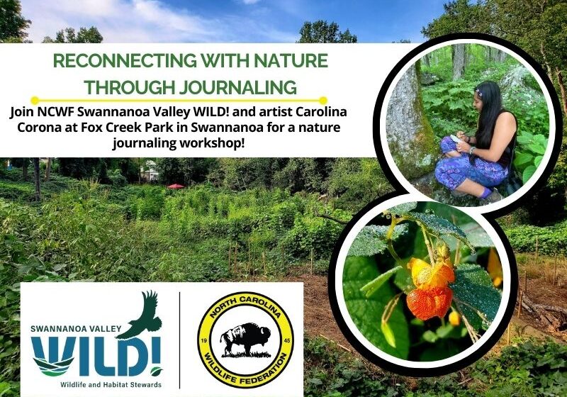 naturejournaling naturejournaling