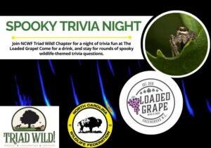 octtrivia