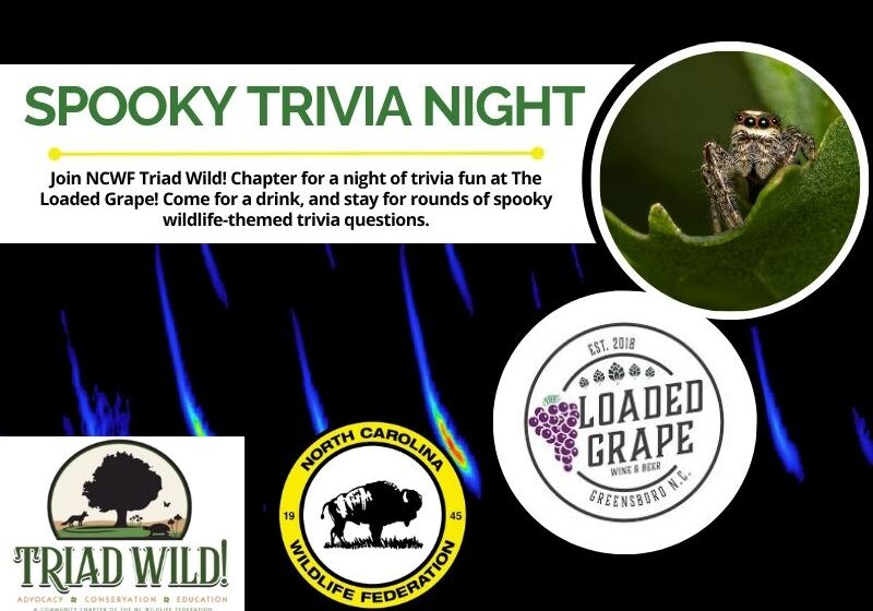 octtrivia