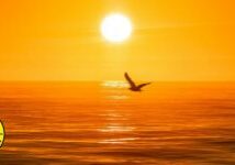 Photo by John McGillicuddy, NCWF Photo Contest Submission