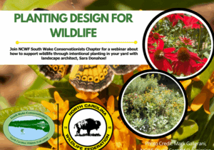 plantingdesign