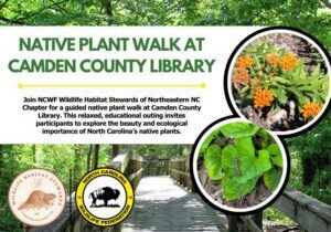 plantwalkcamdenlibrary