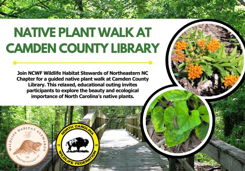 plantwalkcamdenlibrary