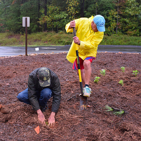 Volunteers planting pollinator plants.