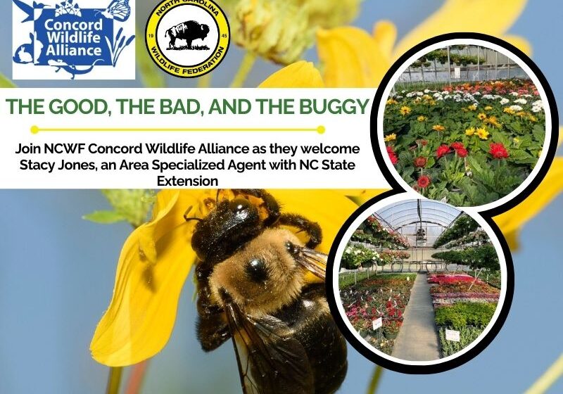 pollinatorncwrc (1)