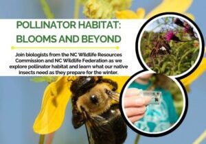 pollinatorncwrc
