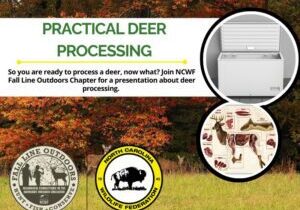 processing