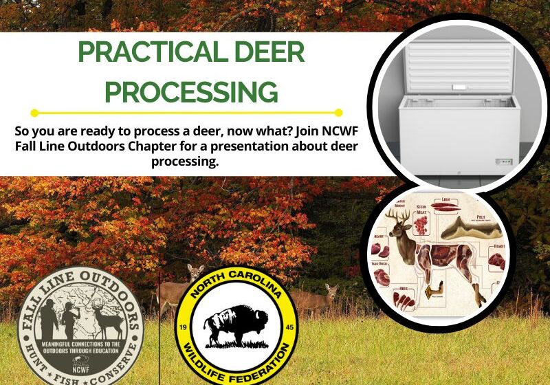 processing