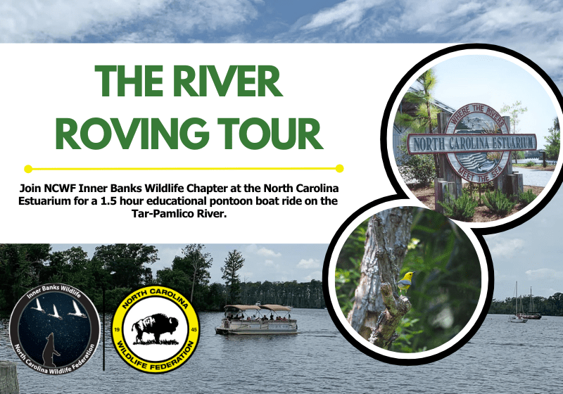 riverrovingtour