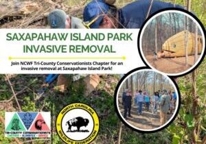 saxapahaw2
