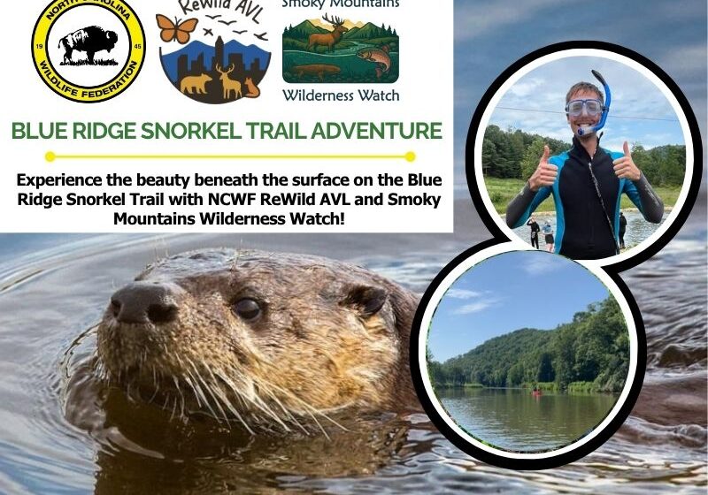 snorkel
