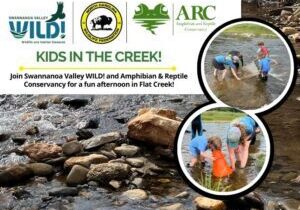 thecreek