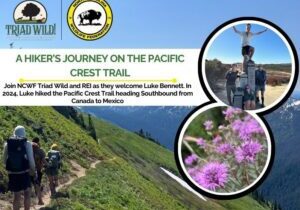 Program Banners - 55