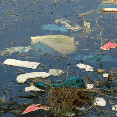 trash-trout-polluted-water Trash floating in a river.