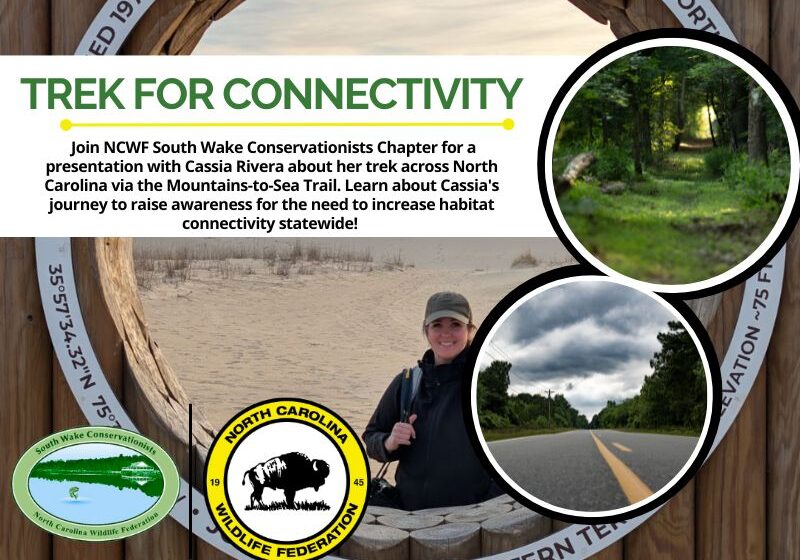 trekconnect