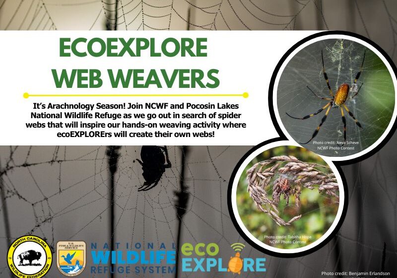 webweavers